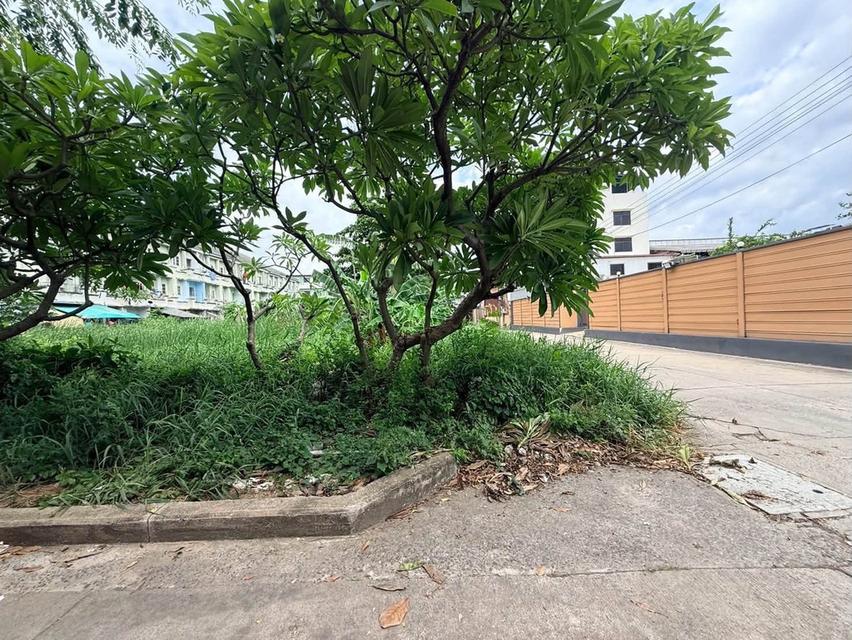 ขายด่วนที่ดินใกล้รพ.สินแพทย์ เทพารักษ์ 199 ตรว ติดถนนคอนกรีต 2 ด้าน แปลงมุม ซ.สินทวี เมืองสมุทรปราการ สนใจติดต่อ 095-879-4465 3