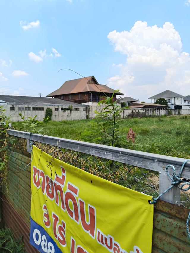ที่ดินเปล่า 3 ไร่ ใกล้ตลาดต้นตาล ทำเลสวย น้ำไม่ท่วม 3