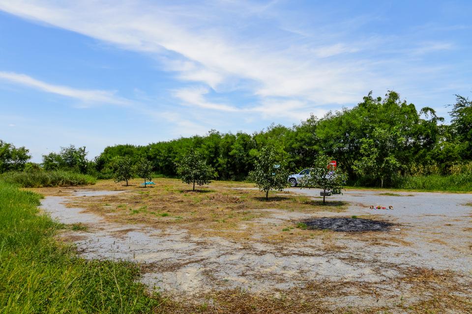 ขายที่ดิน 3 ไร่ อ.อู่ทอง จ.สุพรรณบุรี 3