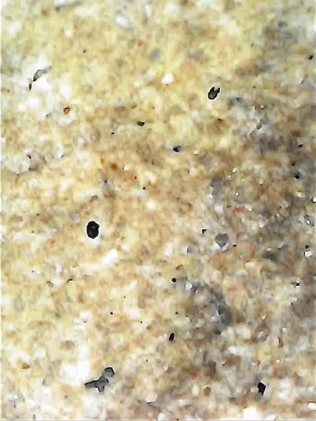 พระสมเด็จวัดระฆังพิมพ์ใหญ่เกศทะลุซุ้ม 14