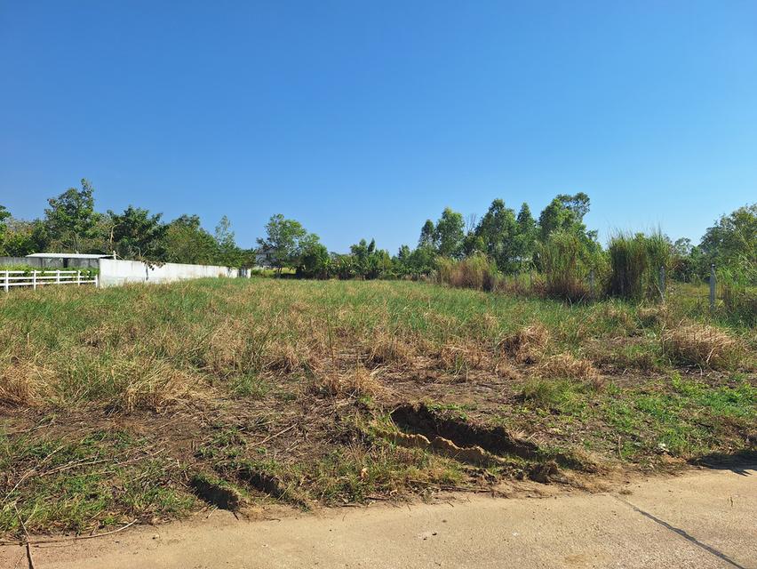 ที่ดินวิวเขายายดา ระยอง 6