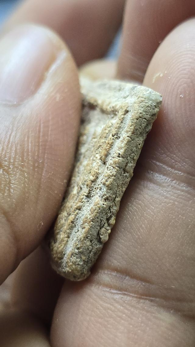 พระสมเด็จวัดระฆัง พิมพ์เกศบัวตูม