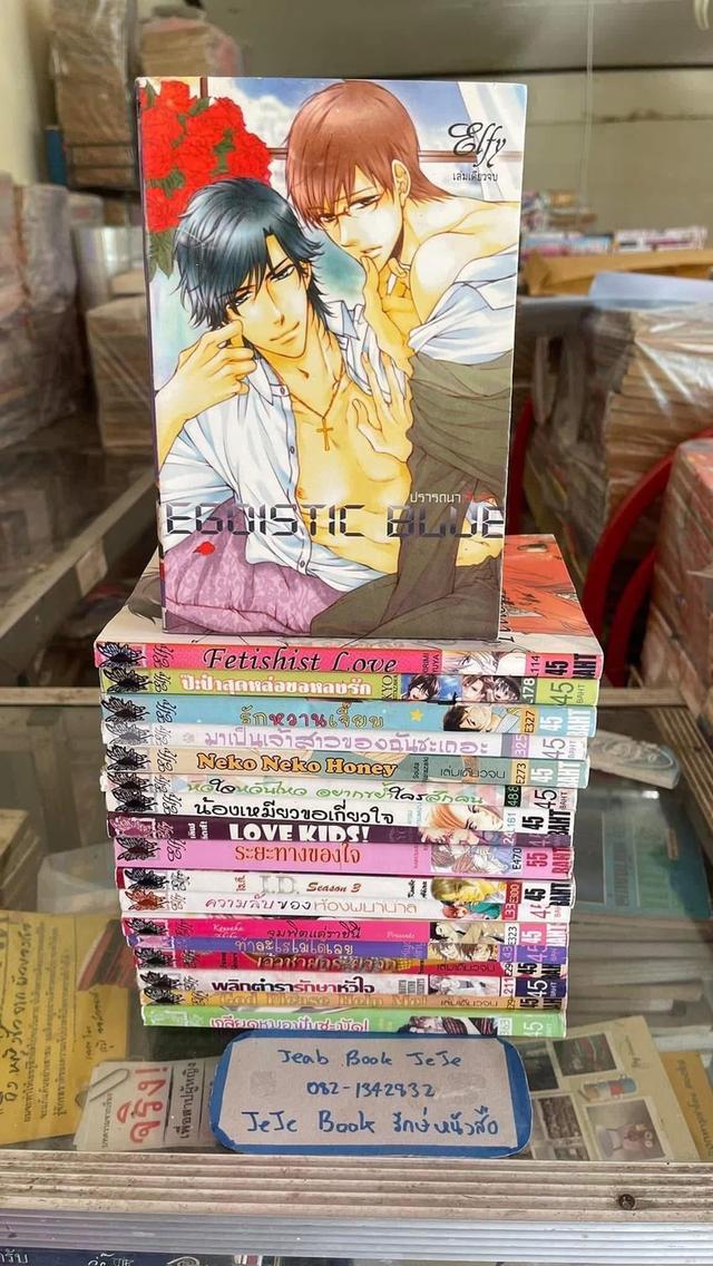 หนังสือการ์ตูนวาย BL เล่มเดียวจบ