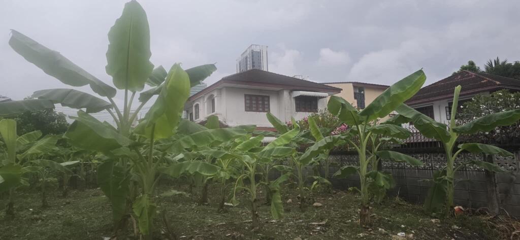 ขายที่ดินเปล่า ขนาด 61 ตร.วา ถ.สุทธิสาร-รัชดาฯ ใกล้ MRTสุทธิสารสายสีน้ำเงินเพียง 600 ม. 6