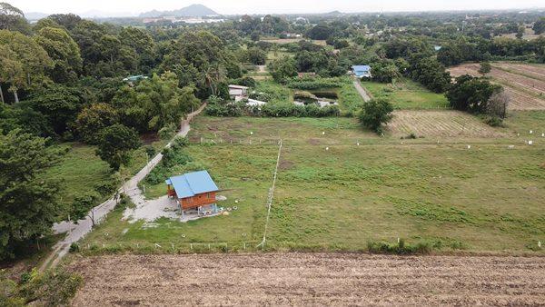 ขายที่ดิน 350ตรว ต.ห้วยบง อ.เฉลิมพระเกียรติ จ.สระบุรี ถนนสาธารณะทุกแปลง โทร 093-441-5691 2