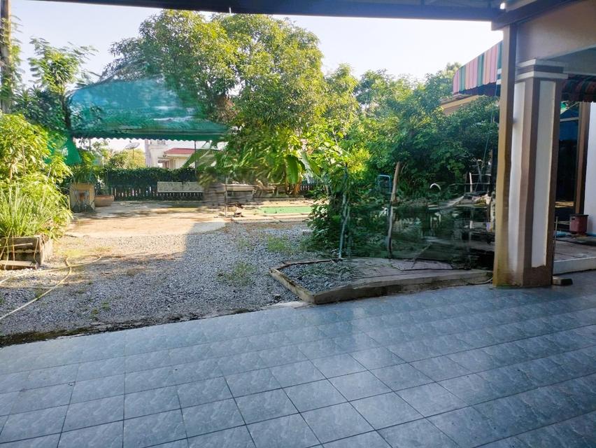 🏡ขาย บ้านเดี่ยวหลังมุม ติดถนน ทิพมาศ-เสรีบางนา บางบ่อ  114 ตร.ว 18