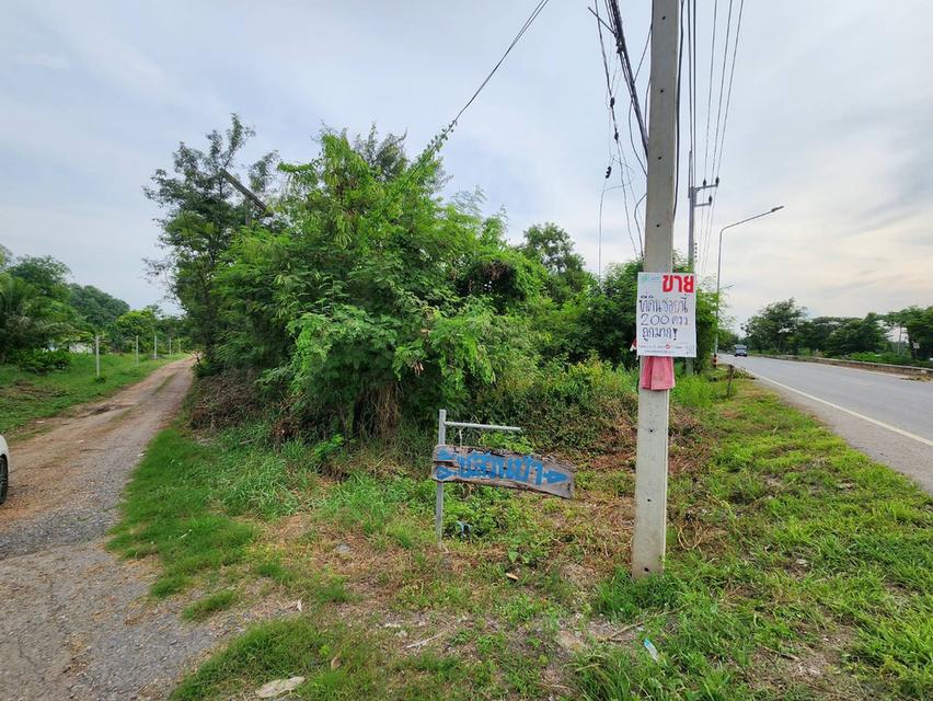 ขาย ที่ดินราคาถูก จ.ปทุมฯ อ.หนองเสือ ต.บึงกาสาม ขนาด 100 ตรว. 2