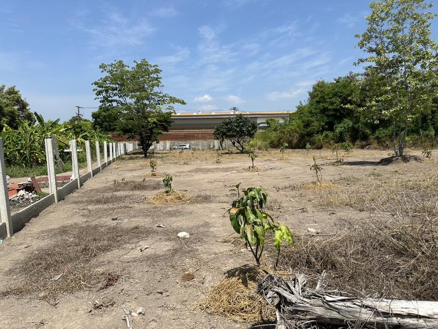 ขายที่ดิน 1 ไร่ 3 งาน ถมแล้ว ที่สวย บรรยากาศดี ร่มรื่น เงียบสงบ  ปลอดภัย ใกล้แหล่งท่องเที่ยว 7