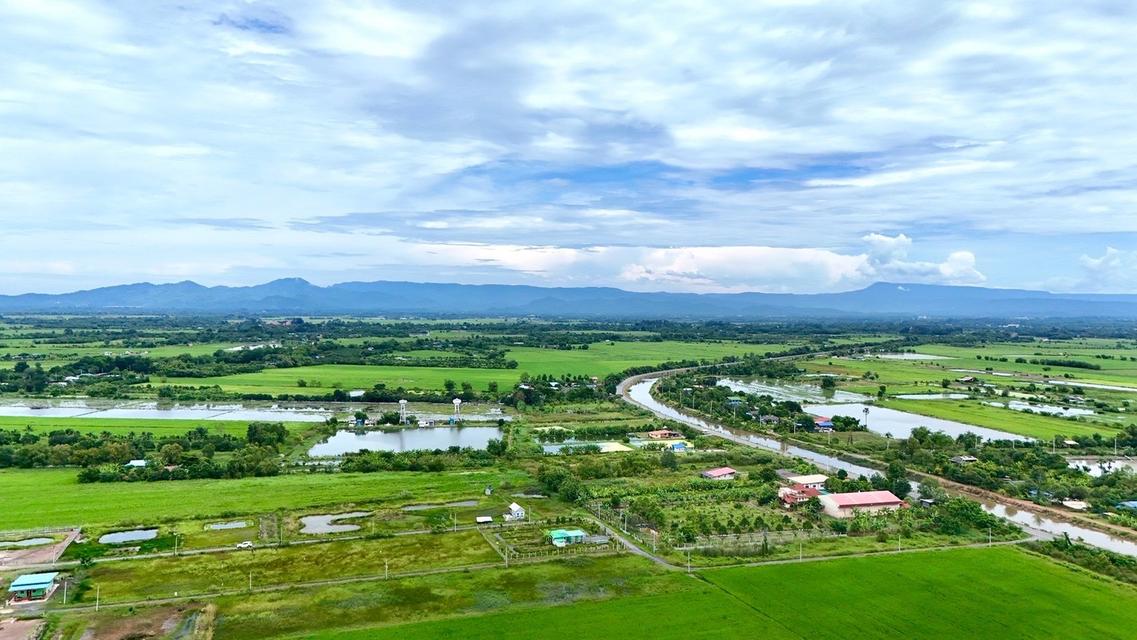 ขายที่ดินจัดสรร เงินสดและผ่อน 6