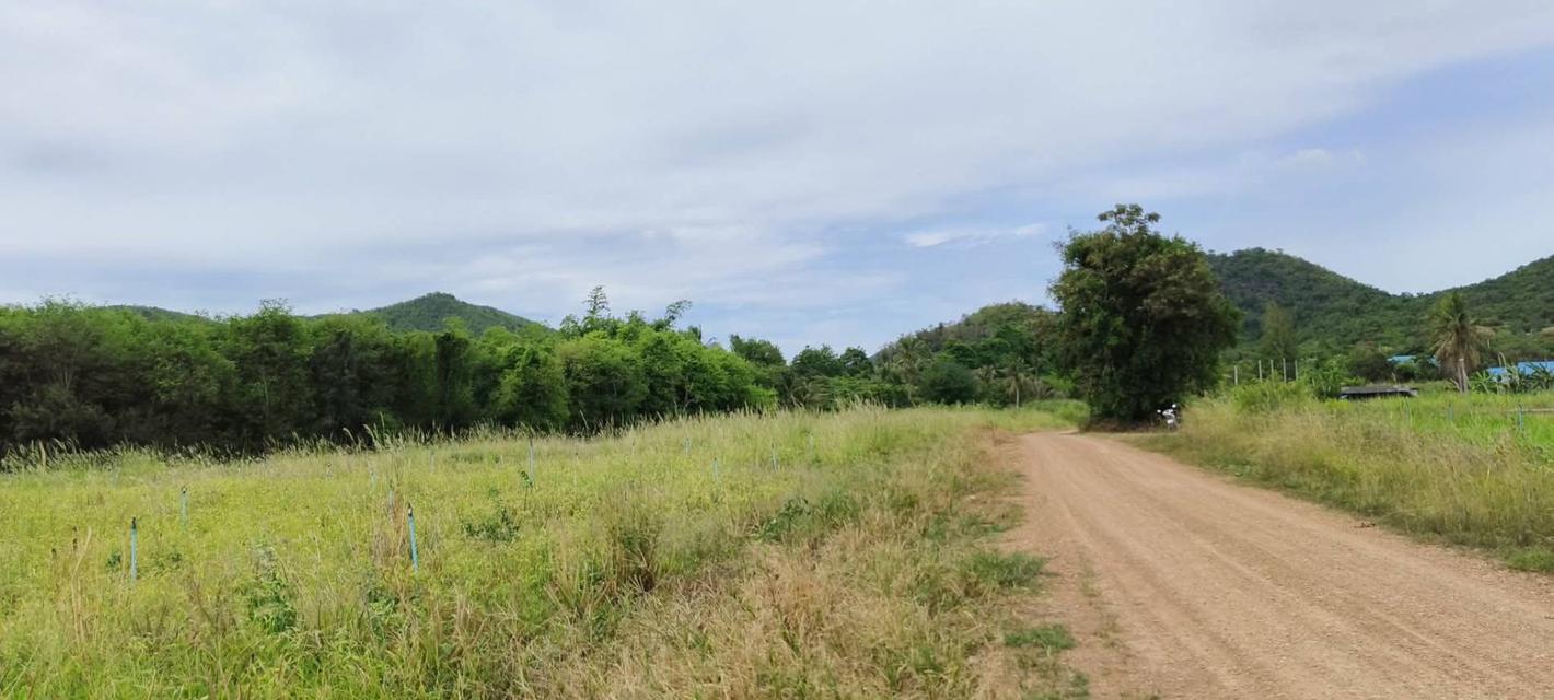 ขายที่ดินเกษตร หนองพลับ–หัวหิน 25 ไร่ ติดถนน 2 ด้าน วิวภูเขา 2