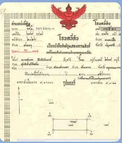 ขายที่ดินแปลงสวยติดถนน 2 ฝั่ง คลอง11 อำเภอหนองเสือ จังหวัดปทุมธานี 2