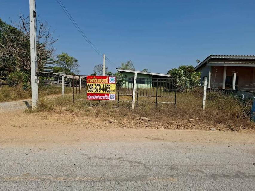 ขายด่วน  ทีดิน 50 ตารางวา "ติดถนนคอนกรีตสาธารณะ "ต.รางพิกุล อ.กำแพงแสน จ.นครปฐม 2