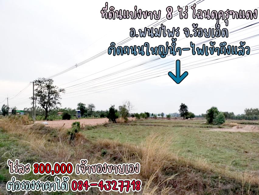 ที่ดินแบ่งขาย 8 ไร่ ราคาไร่ละ 800,000 พร้อมโฉนดครุฑแดง น้ำไฟผ่าน ติดถนนใหญ่ จ.ร้อยเอ็ด เจ้าของขายเอง ราคาต่อรองราคาได้ สนใจติดต่อ 084-4327718