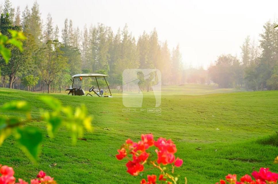 ขายที่ดินในสนามกอล์ฟเอเวอร์กรีน ฮิลล์ ท่าม่วง กาญจนบุรี แถมหุ้นสนามกอล์ฟ สมาชิกสนามกอล์ฟตลอดชีพ 9