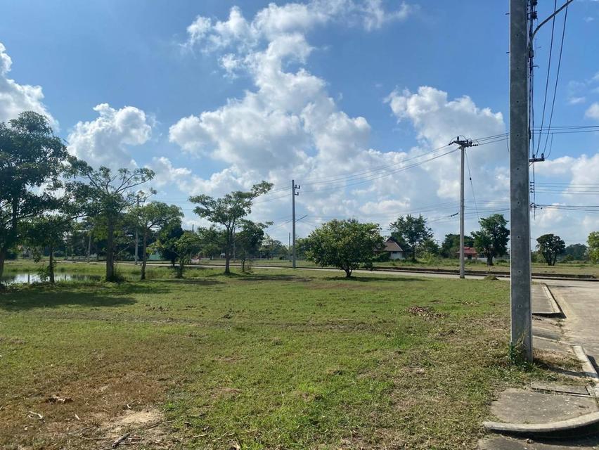 ขายบ้านและที่ดิน ให้เช่า 1