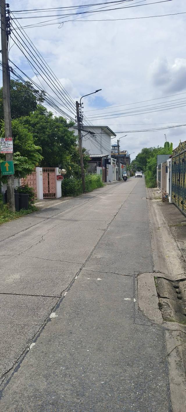 ขายที่ดินราคาถูก ซ.รามอินทรา 14 (มัยลาภ)แยก 8 ใกล้รถไฟฟ้า และถนนใหญ่ แขวงท่าแร้ง เขตบางเขน กรุงเทพฯ 10220 6