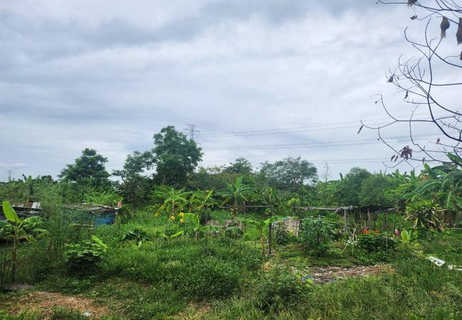 ขายที่ดิน หมู่บ้านนพวงศ์ ถนนปทุมธานี-บางเลน อำเภอลาดหลุมแก้ว ปทุมธานี 3