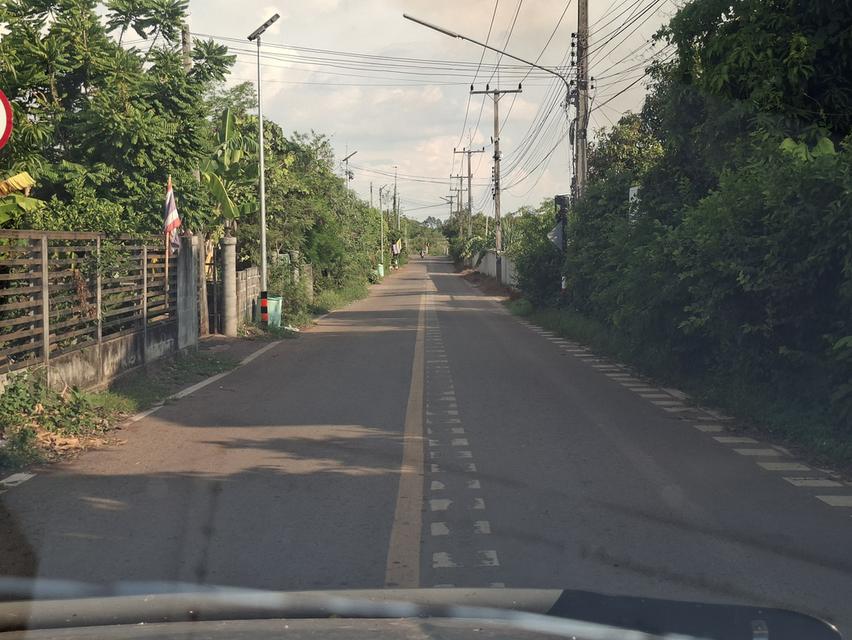ขายด่วน! ที่ดินสวนผืนสวย 10 ไร่ ทำเลดี ใกล้ถนนสุวรรณศร (สาย 33) ต.หนองแสง อ.ประจันตคาม จ.ปราจีนบุรี 4