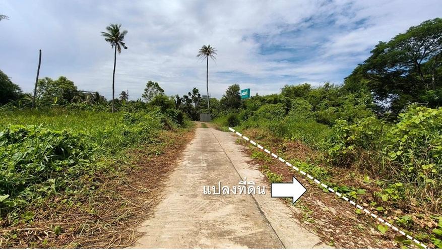 ที่ดินนครปฐม ในซอยสามพราน 12/2 แปลงเหลี่ยม ผังสีชมพู 8 ไร่ 79 ตรว ฝั่งตรงข้ามโลตัสสามพราน ห่างจากถนนเพชรเกษมเพียง 650 ม. ไร่ละ 3,850,000 บาท) 5