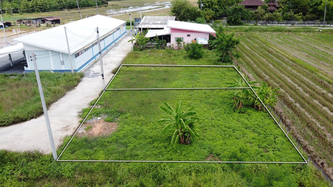 ที่ดินแบ่งขาย 50 และ 59 ตร.ว. เริ่มต้น 300,000 บาท น้ำไฟถนนคอนกรีตพร้อม 6