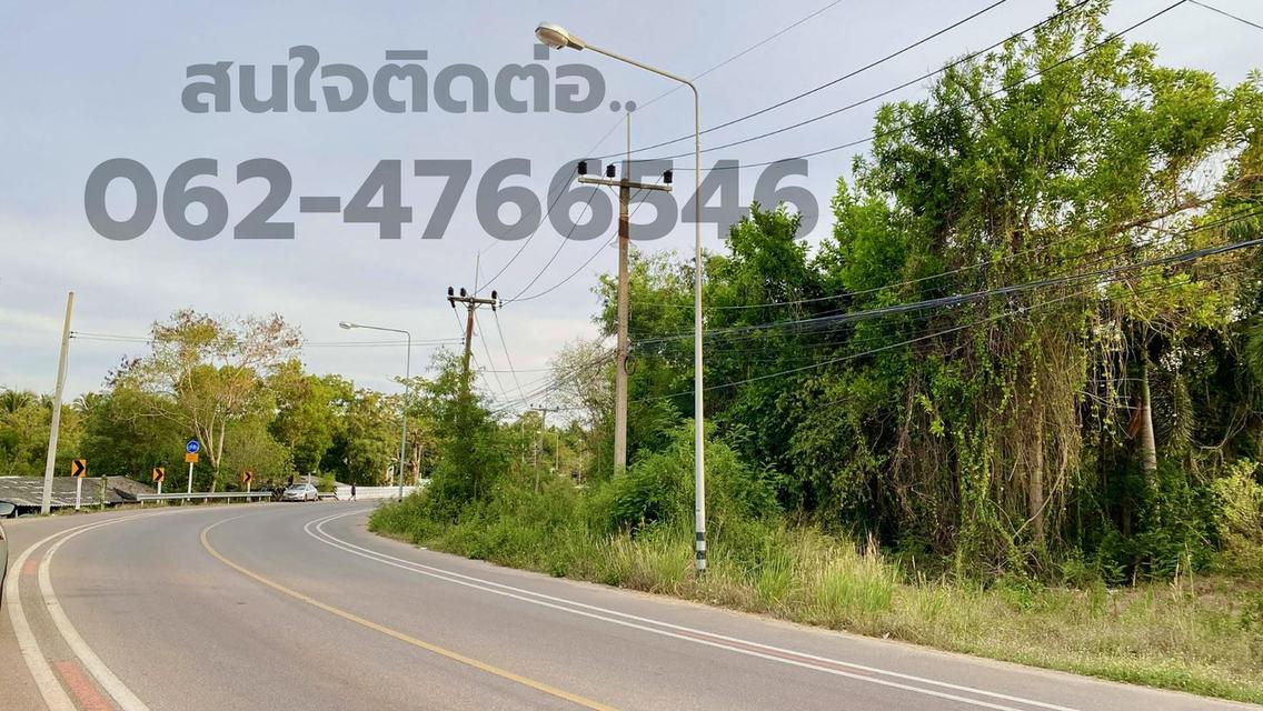 ที่ดินติดถนนหลัก ใกล้สนามบินชุมพร ใกล้ทะเล และเดินทางสะดวก 5