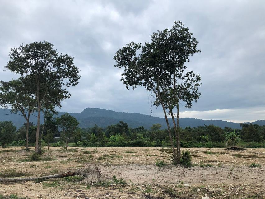 ที่ดินเขาพระ นครนายก 3