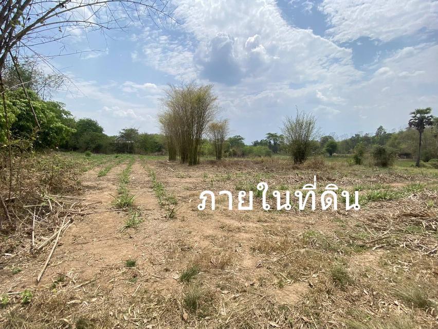 ขายที่ดิน 9 ไร่ ต จอมศรี อ เชียงคาน เลย ติดถนนใหญ่ขายต่ำกว่าราคาประเมิน60เปอร์เซ็น ุ 4