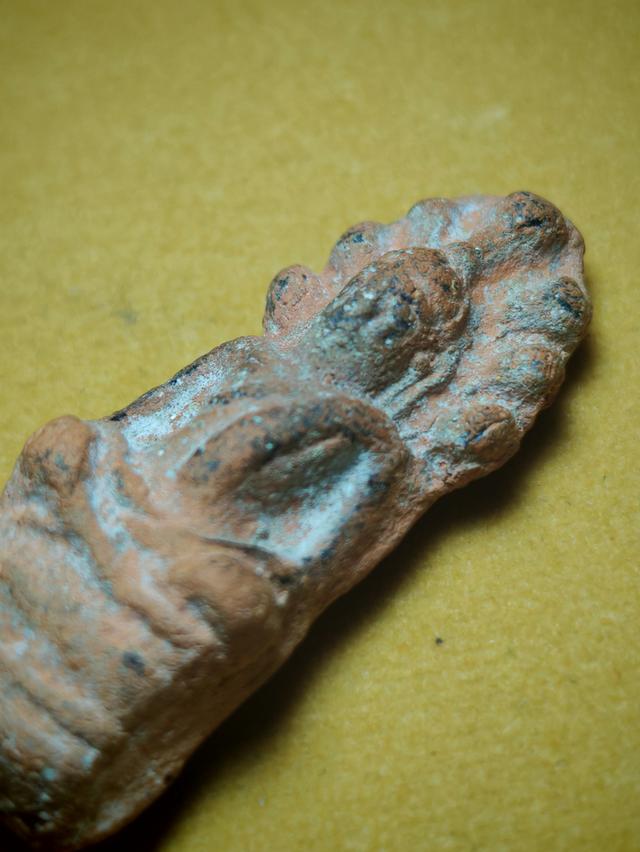 พระเนื้อดิน​ พิมพ์นาคปรก 6