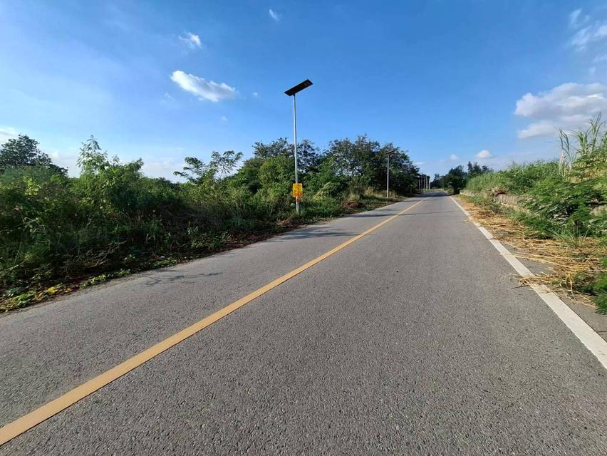 ขายที่ดินแถววิทยาลัยพละศึกษาคลอง 13 ธัญบุรี ถนนเลียบคลองชลประทาน 2