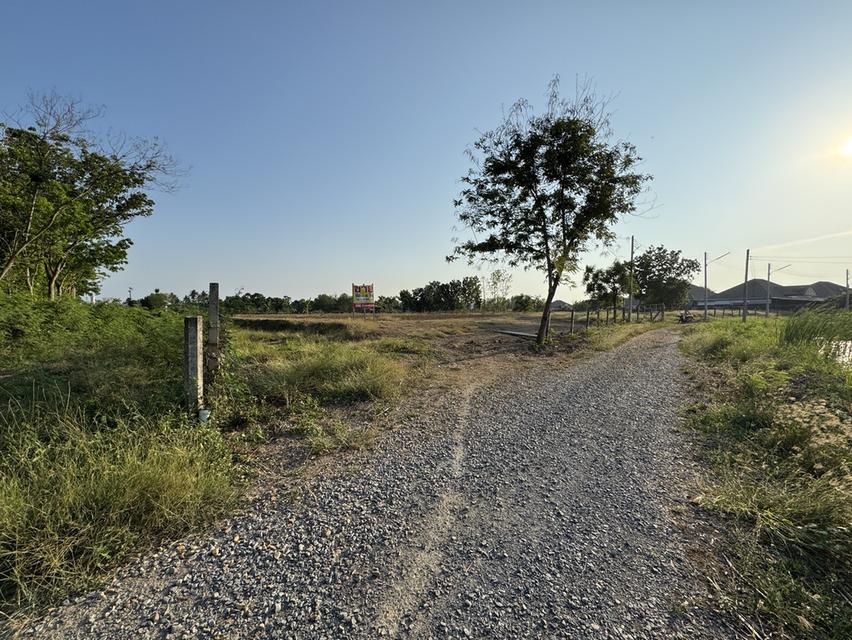 ขายที่ดินอำเภอเมือง นครปฐม 6 ไร่ ไร่ละ 2.5 ล้านบาท 7