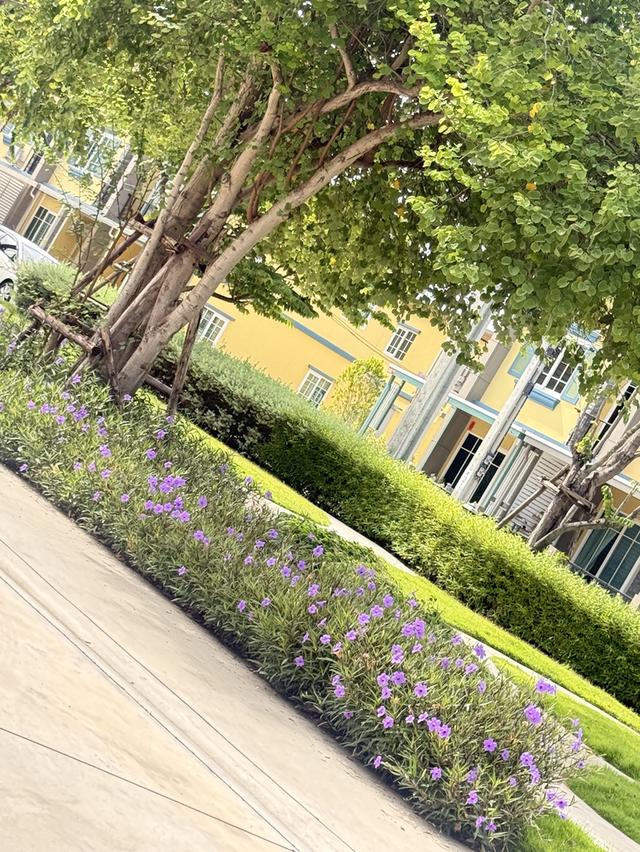 ให้เช่า ทาวน์โฮม สองชั้นสี่ห้องนอนหน้าบ้านติดสวนวิวดีพร้อมฟิตเนสและสระว่ายน้ำหว้าสองชั้นสี่ห้องนอน หน้าบ้านติดสวนวิวดีพร้อมฟิตเนสและสระว่ายน้ำ 5