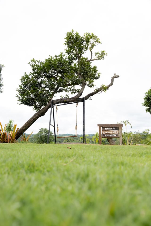 ขายรีสอร์ท ที่ วังน้ำเขียว  14ไร่  บนถนน 3060 เส้นไปปากช่อง ระเริง 27 ล้าน บาท 7