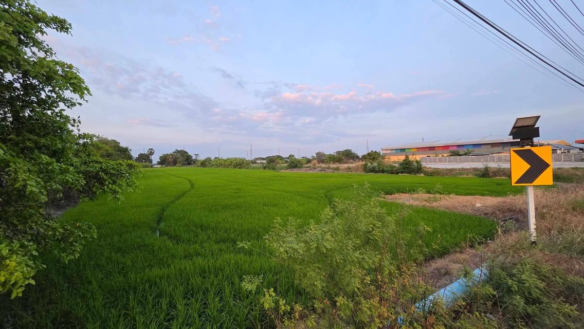 ขายที่ดินติดถนนใหญ่ หลังติดคลอง 6ไร่2งาน อำเภอบางบ่อ ตำบล เปร็ง  ภาษีค่าโอนจ่ายให้หมด เตรียมเงินมาซื้ออย่างเดียวครับ  Land for sale, located on a ma 5