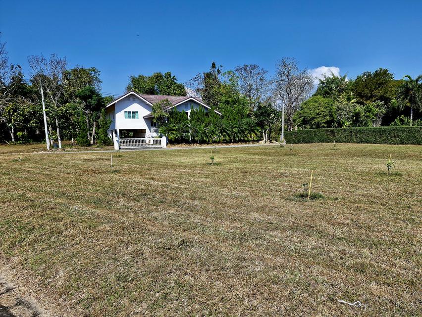 ที่ดินเปล่า อ.หางดง จ.เชียงใหม่ 2