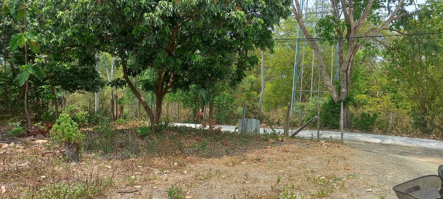 ที่ดินจังหวัดเชียงใหม่ 2