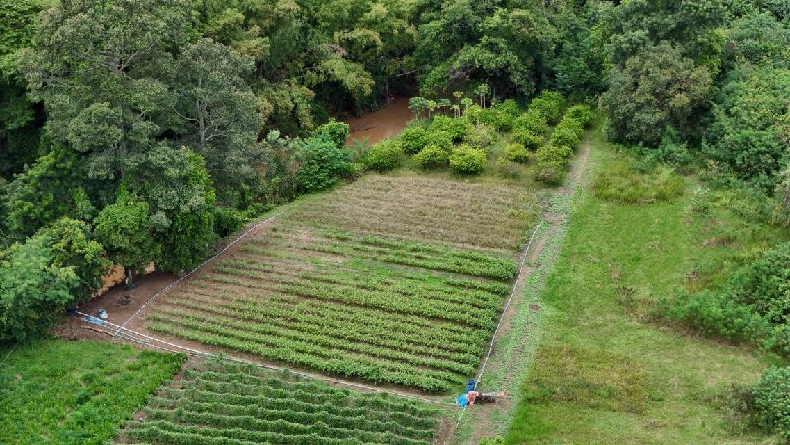 ที่ดินติดริมน้ำวิวเขาปากช่อง.( 3-3-12 ไร่.)( 5,500 บ./ตร.วา )  | ( น.ส.3ก ) หายาก ราคาพิเศษ!!  10