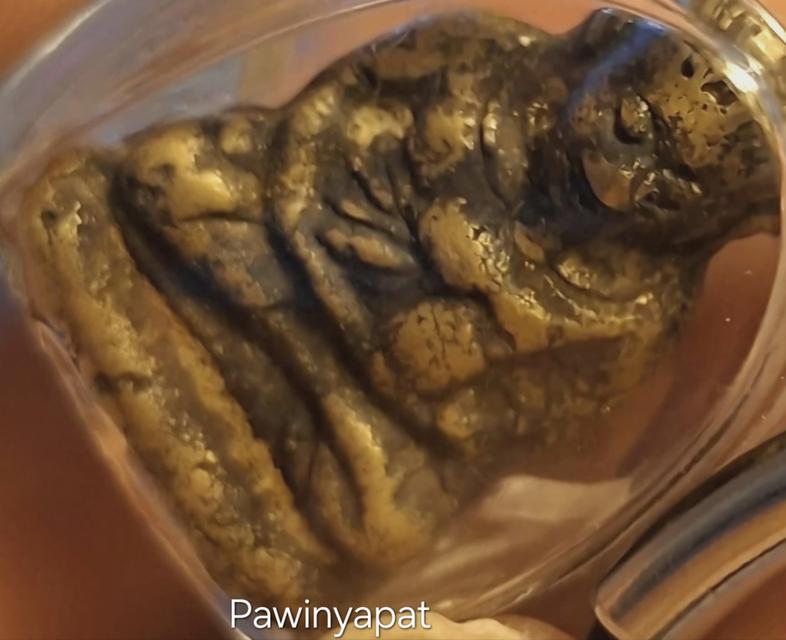 รูปหล่อหลวงพ่อเงินพิมพ์ขี้ตา รูปที่ 4