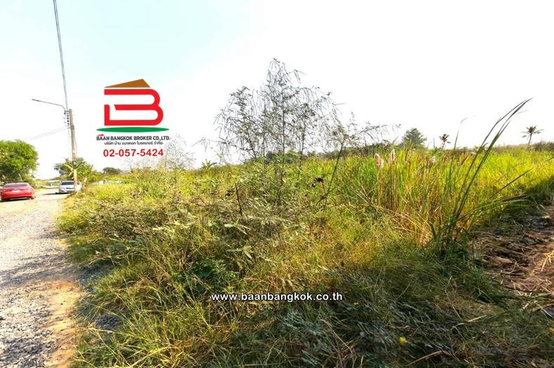 ที่ดินเปล่า เนื้อที่ 396 ตร.ว. หนองจอก-กระทุ่มราย (ซอยสุวินทวงศ์ 51) ถนนสุวินทวงศ์ แขวงกระทุ่มราย เขตหนองจอก(เจียระดับ) 4