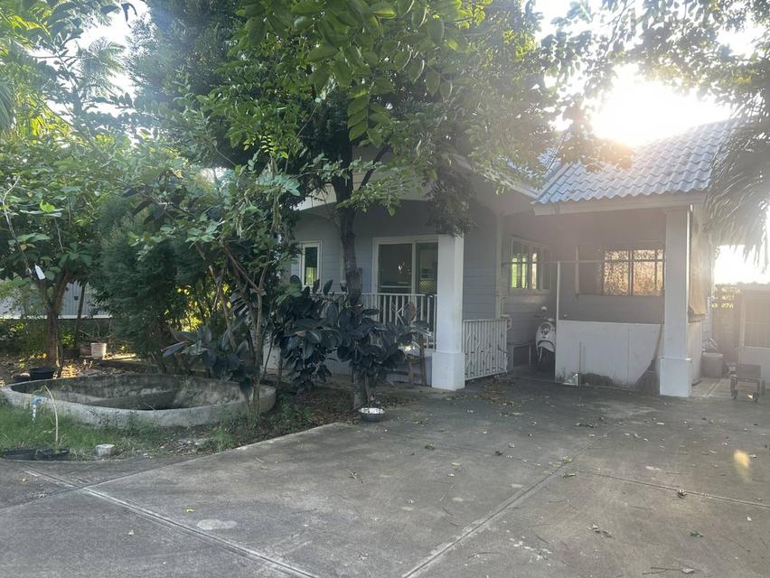 ที่ดิน 600 ตรว. พร้อมบ้าน 2 หลัง 3