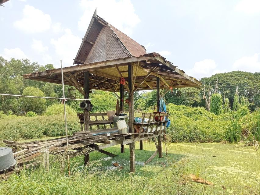 ขายที่ดินพร้อมบ้านสวน  5 ไร่ ติดถนนหน้า-หลัง คลองห้า 10