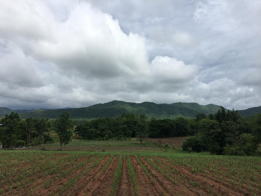 🌄 ขายที่ดิน 3 ไร่ วิวเขาใกล้เขาค้อ จ.เพชรบูรณ์