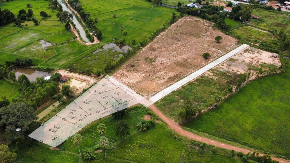 ที่ดินแบ่งขาย ใกล้ตัวเมืองกาฬสินธุ์ เหมาะสร้างบ้านอยู่อาศัย 3