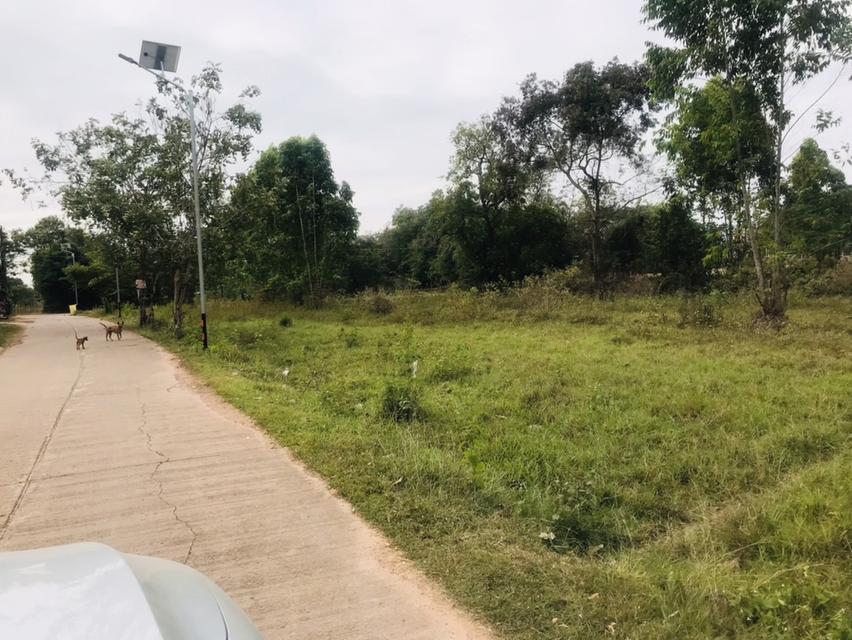 ที่ดินเปล่า ในจังหวัดอุดรธานี 9