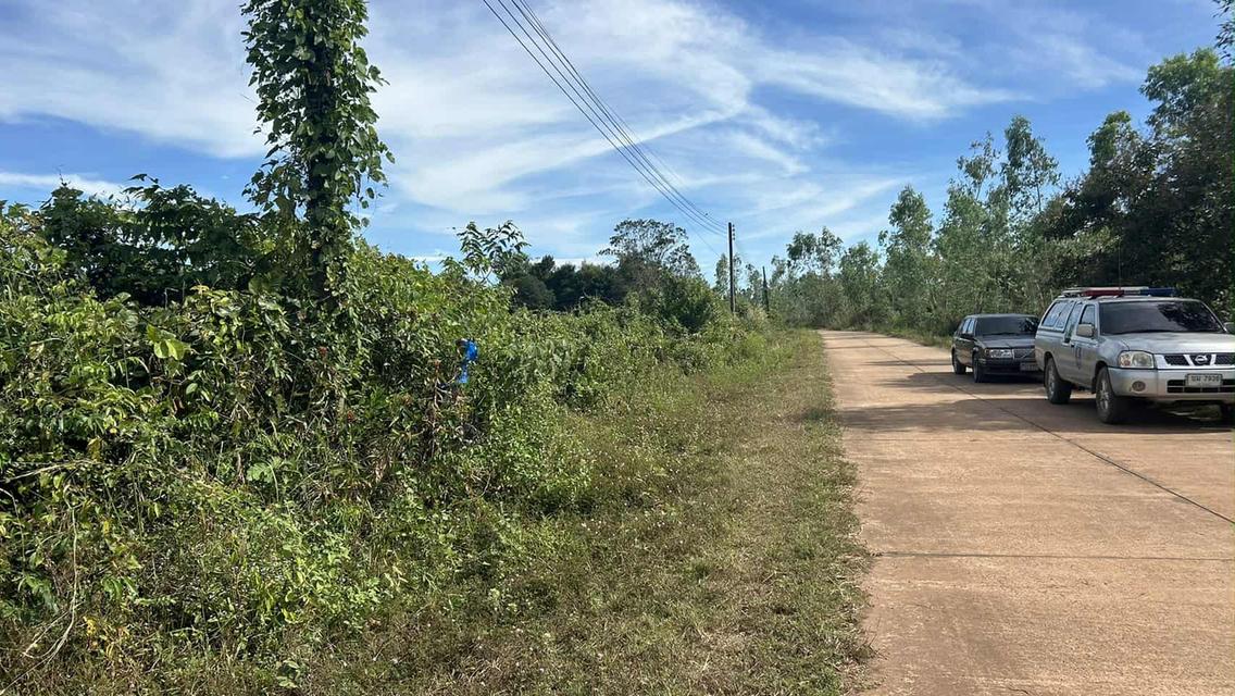 ขายที่ดินวังดาลเนื้อที่ 2 ไร่ ติดถนนคอนกรีต ใกล้ถนนสุวรรณศร33-500เมตร อ.กบินทร์บุรี ปราจีนบุรี 2