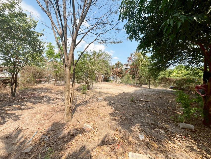 ขายที่ดินเปล่า ซอยรามอินทรา5 แยก22 บางเขน กรุงเทพมหานคร 5