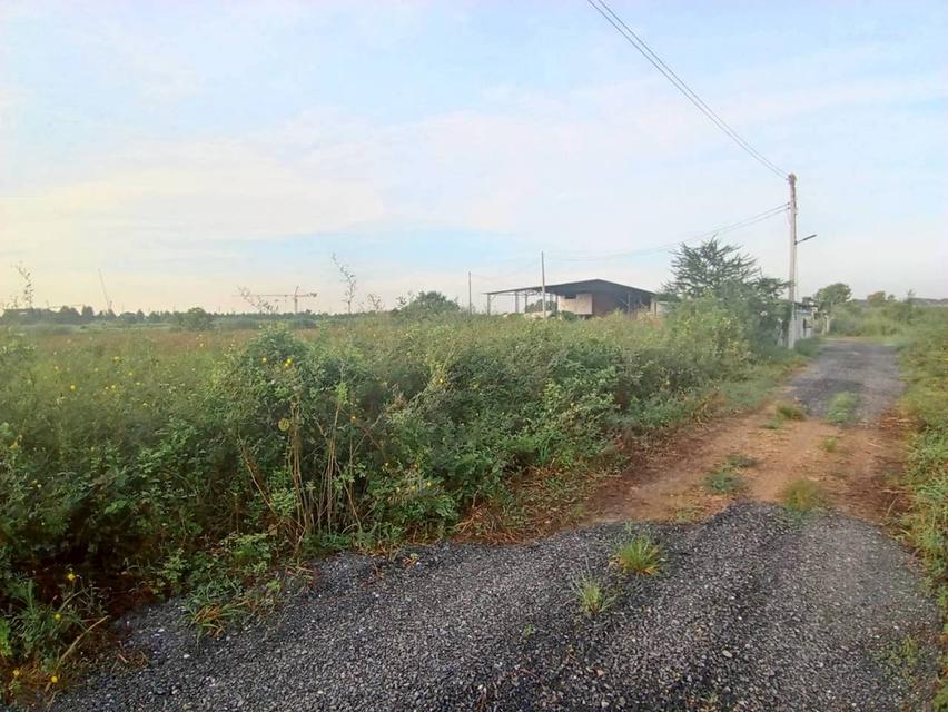 ที่ดินเปล่า 3 ไร่ ลำลูกกา คลอง8 ออกรังสิต-นครนายก 2