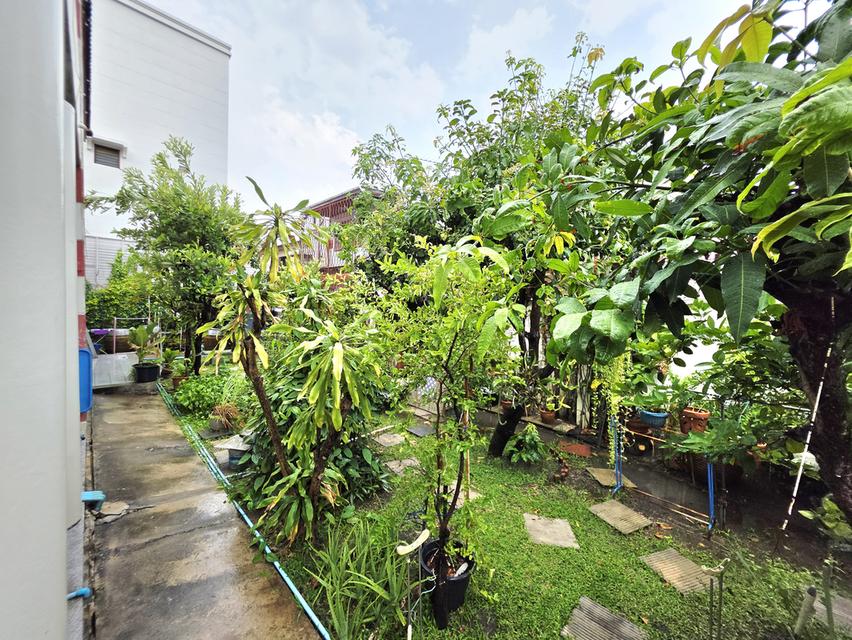 บ้านเดี่ยว Home Place หลังมุมร่มรื่นน่าอยู่ พื้นที่เยอะ 2