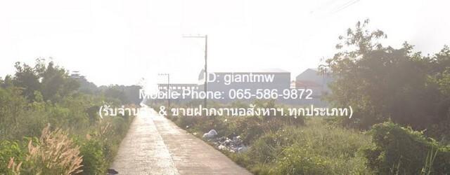 ที่ดิน ที่ดิน หลักหก ปทุมธานี 1200 sq.wa 18000000 BAHT. ใกล้ ห่างถนนกำแพงเพชร 6 ประมาณ 900 เมตร GOOD! ที่ดินสี่เหลี่ยมผื 3