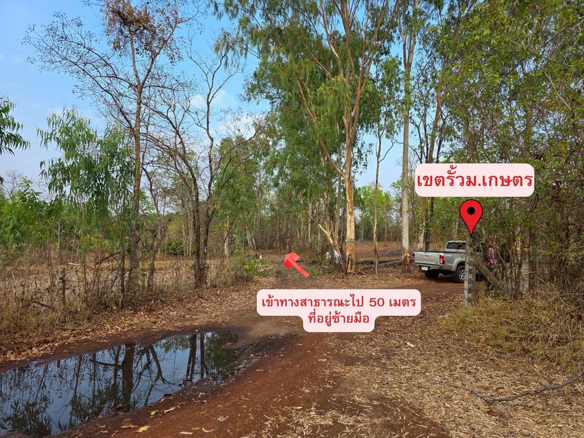 ขายด่วน ที่ดิน ติดรั้วหลัง ม.เกษตรศาสตร์ จังหวัดสกลนคร 12