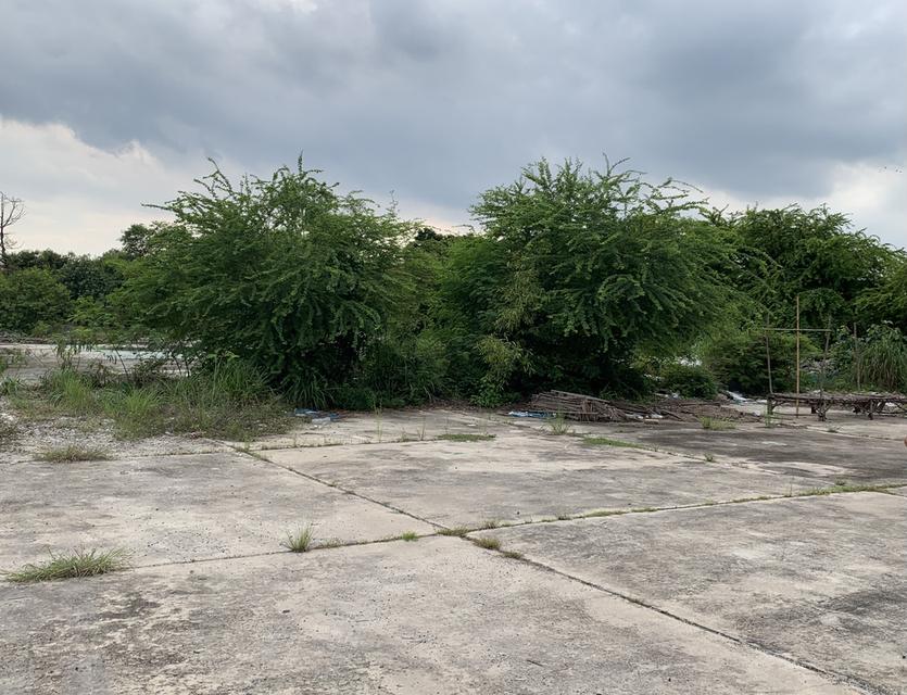 ขายที่ดิน ติดโตโยต้าบ้านโพธิ์ 3